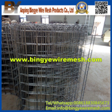 Wire Mesh Deep Processing About Flower Garden